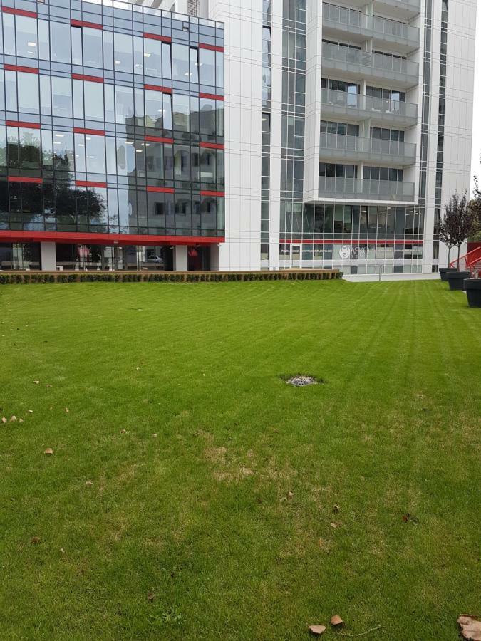 Apartament Towarowa 37 Познань Экстерьер фото